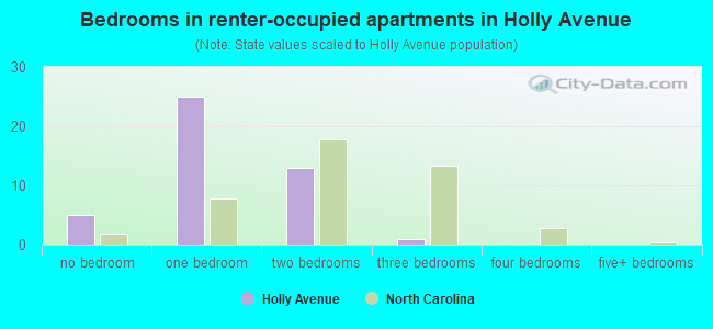 Bedrooms in renter-occupied apartments in Holly Avenue