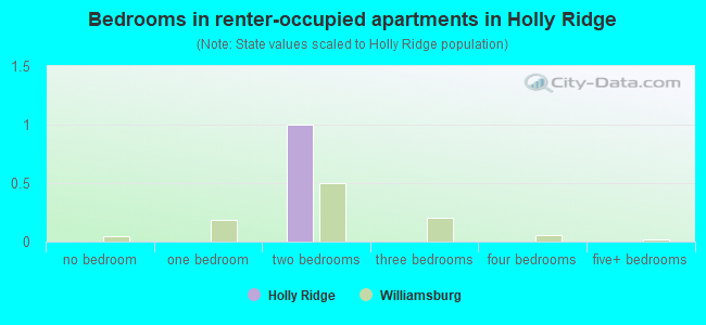 Bedrooms in renter-occupied apartments in Holly Ridge
