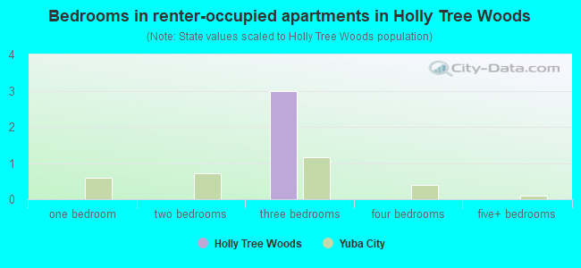 Bedrooms in renter-occupied apartments in Holly Tree Woods