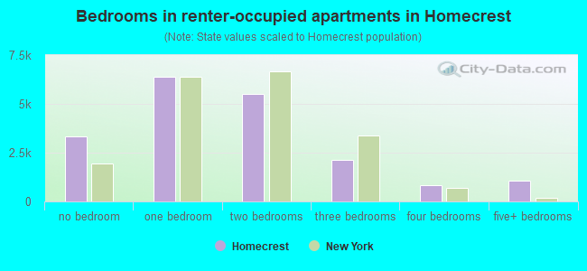 Bedrooms in renter-occupied apartments in Homecrest