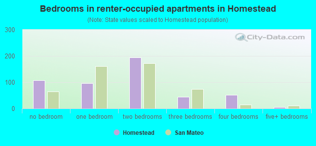 Bedrooms in renter-occupied apartments in Homestead