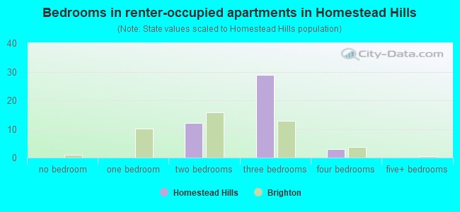 Bedrooms in renter-occupied apartments in Homestead Hills