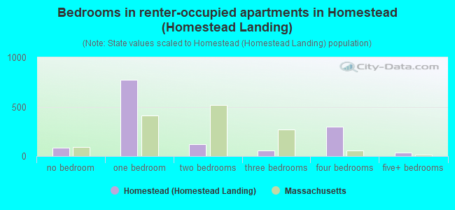 Bedrooms in renter-occupied apartments in Homestead (Homestead Landing)