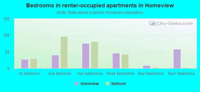 Bedrooms in renter-occupied apartments in Homeview