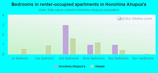 Bedrooms in renter-occupied apartments in Honohina Ahupua`a