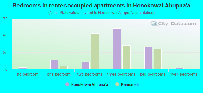 Bedrooms in renter-occupied apartments in Honokowai Ahupua`a