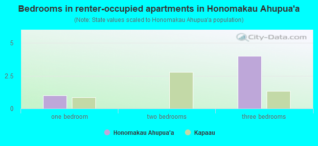 Bedrooms in renter-occupied apartments in Honomakau Ahupua`a