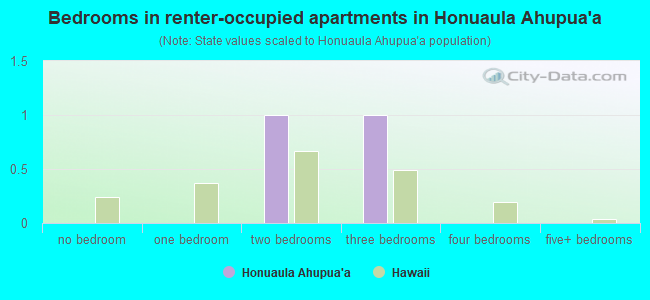 Bedrooms in renter-occupied apartments in Honuaula Ahupua`a