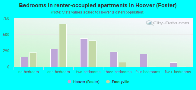 Bedrooms in renter-occupied apartments in Hoover (Foster)