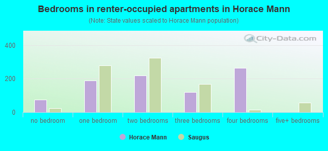 Bedrooms in renter-occupied apartments in Horace Mann