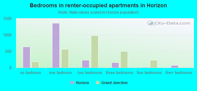 Bedrooms in renter-occupied apartments in Horizon
