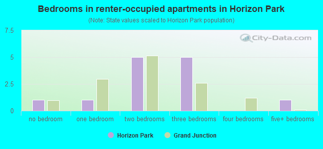 Bedrooms in renter-occupied apartments in Horizon Park