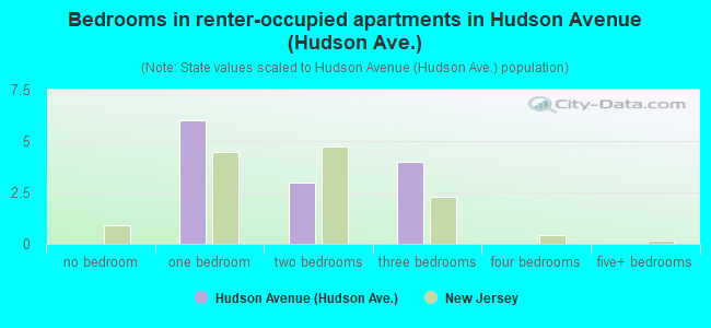 Bedrooms in renter-occupied apartments in Hudson Avenue (Hudson Ave.)