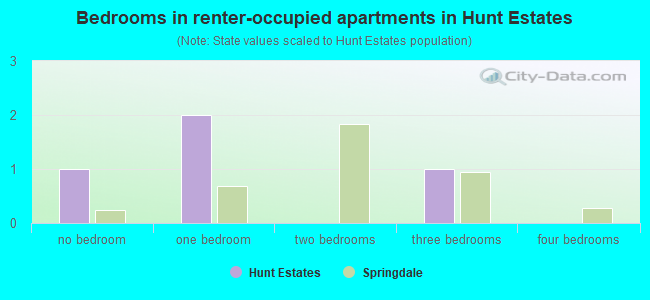 Bedrooms in renter-occupied apartments in Hunt Estates