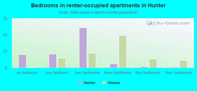 Bedrooms in renter-occupied apartments in Hunter
