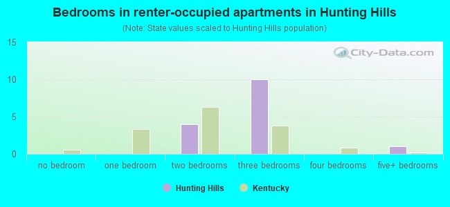 Bedrooms in renter-occupied apartments in Hunting Hills