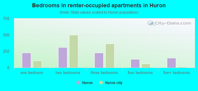 Bedrooms in renter-occupied apartments in Huron
