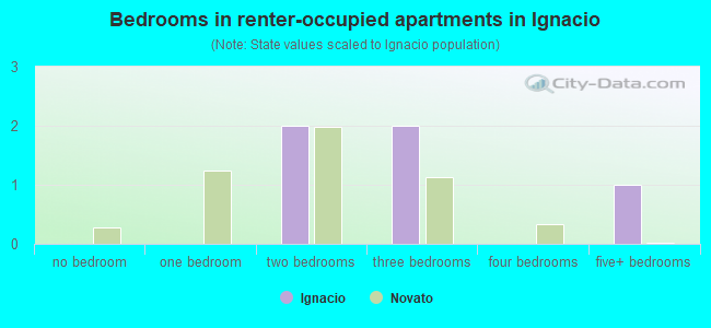 Bedrooms in renter-occupied apartments in Ignacio