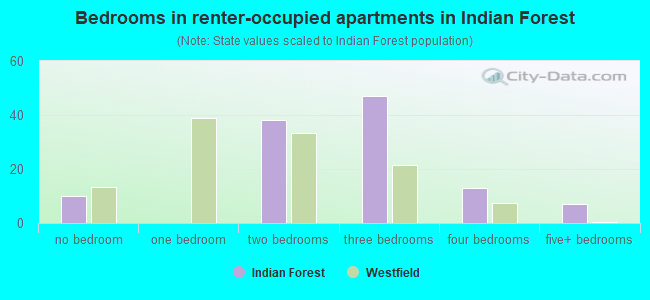 Bedrooms in renter-occupied apartments in Indian Forest