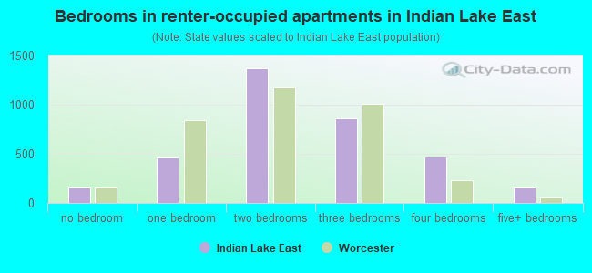 Bedrooms in renter-occupied apartments in Indian Lake East