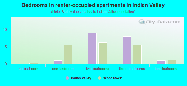 Bedrooms in renter-occupied apartments in Indian Valley