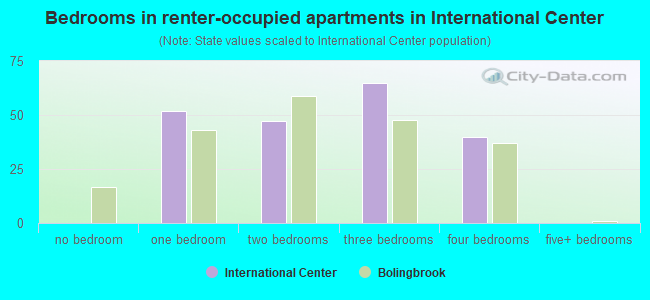 Bedrooms in renter-occupied apartments in International Center