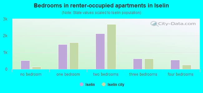 Bedrooms in renter-occupied apartments in Iselin