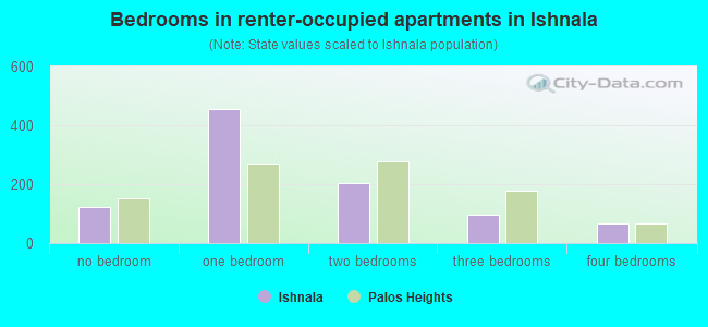 Bedrooms in renter-occupied apartments in Ishnala