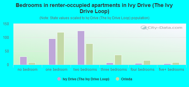 Bedrooms in renter-occupied apartments in Ivy Drive (The Ivy Drive Loop)