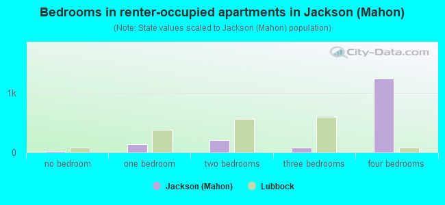 Bedrooms in renter-occupied apartments in Jackson (Mahon)