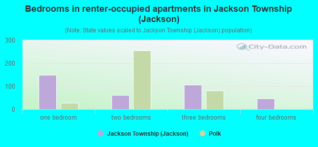 Bedrooms in renter-occupied apartments in Jackson Township (Jackson)