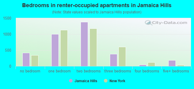 Bedrooms in renter-occupied apartments in Jamaica Hills