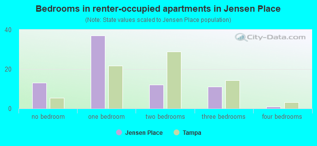 Bedrooms in renter-occupied apartments in Jensen Place
