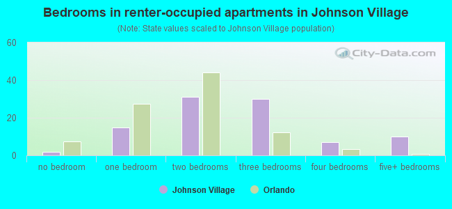 Bedrooms in renter-occupied apartments in Johnson Village