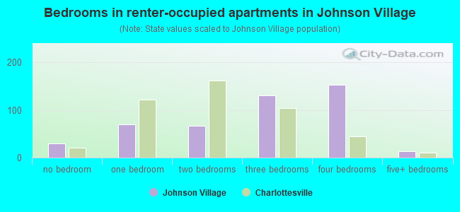 Bedrooms in renter-occupied apartments in Johnson Village