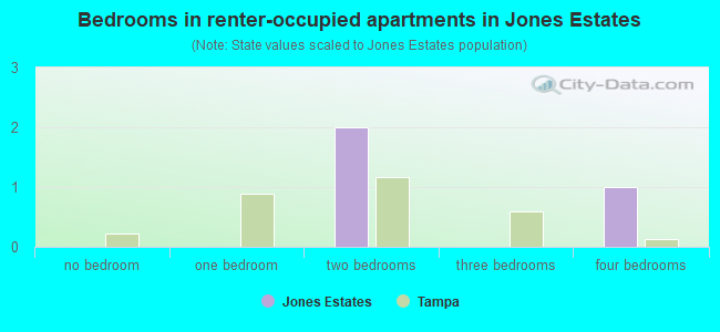 Bedrooms in renter-occupied apartments in Jones Estates