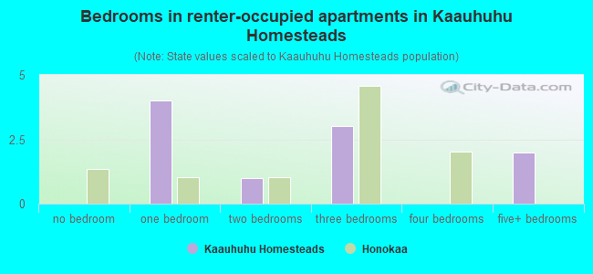 Bedrooms in renter-occupied apartments in Kaauhuhu Homesteads