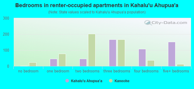 Bedrooms in renter-occupied apartments in Kahalu`u Ahupua`a