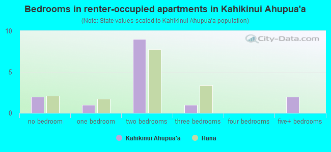 Bedrooms in renter-occupied apartments in Kahikinui Ahupua`a