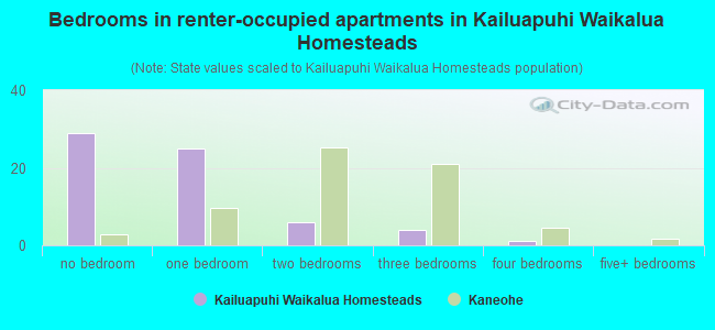 Bedrooms in renter-occupied apartments in Kailuapuhi Waikalua Homesteads