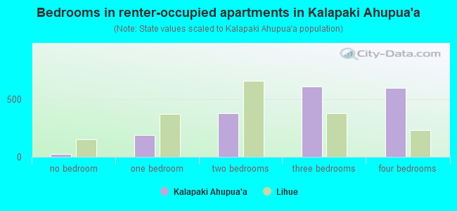 Bedrooms in renter-occupied apartments in Kalapaki Ahupua`a