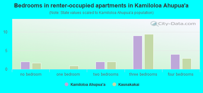 Bedrooms in renter-occupied apartments in Kamiloloa Ahupua`a
