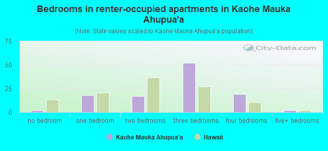 Bedrooms in renter-occupied apartments in Kaohe Mauka Ahupua`a