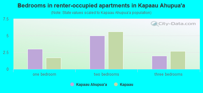 Bedrooms in renter-occupied apartments in Kapaau Ahupua`a