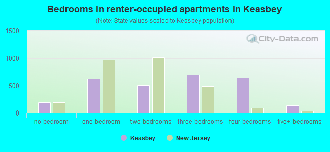 Bedrooms in renter-occupied apartments in Keasbey