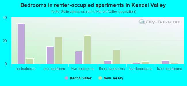 Bedrooms in renter-occupied apartments in Kendal Valley