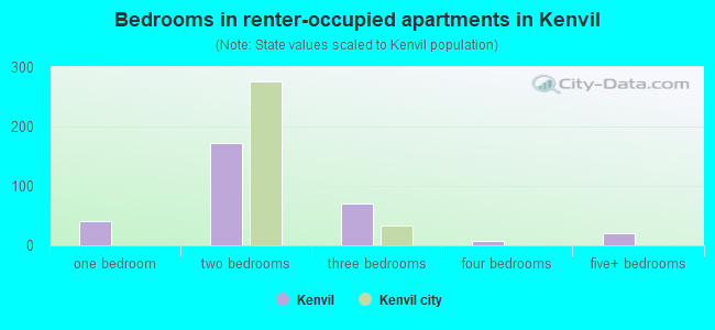 Bedrooms in renter-occupied apartments in Kenvil