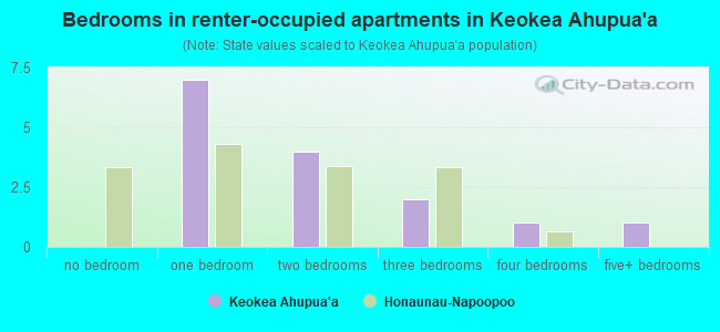 Bedrooms in renter-occupied apartments in Keokea Ahupua`a