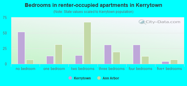 Bedrooms in renter-occupied apartments in Kerrytown