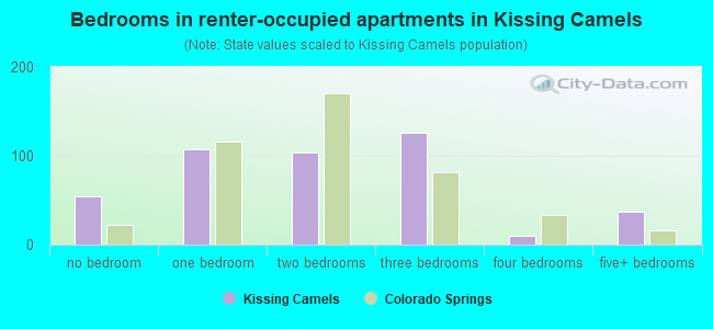 Bedrooms in renter-occupied apartments in Kissing Camels